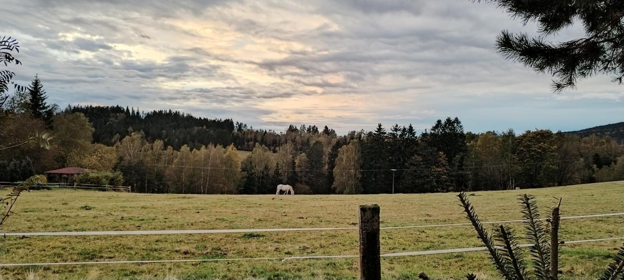 Apartman Schwaderbach *